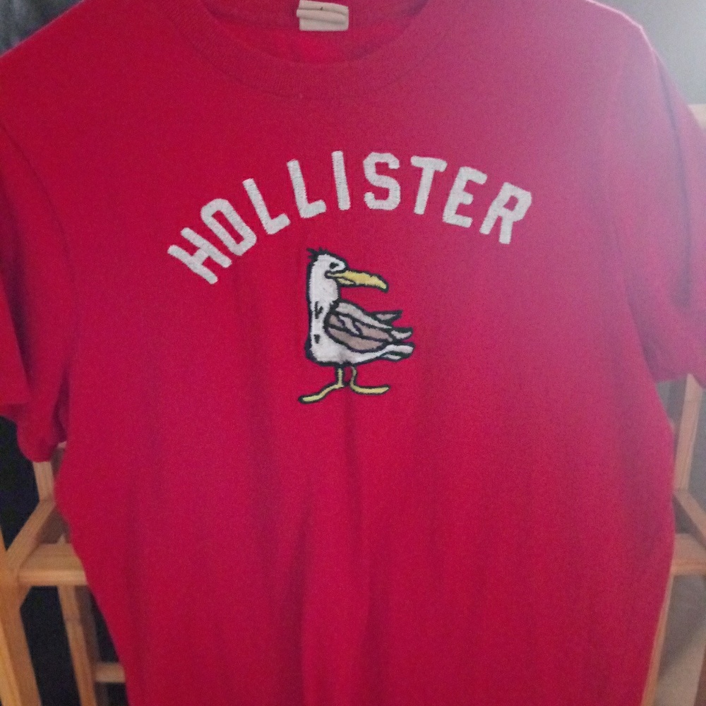Red Hollister T